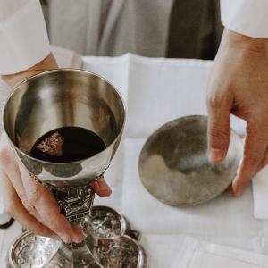 Imagen de referencia