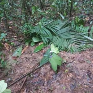 zona de las labores de investigación