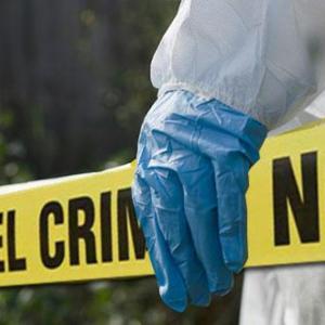 Imagen de referencia.