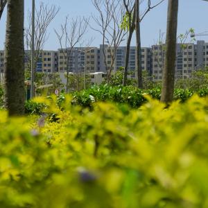 Aspecto del parque que impactará en la localidad metropolitana