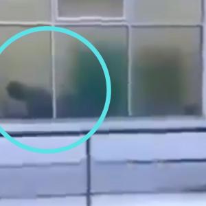  Video de un médico y una enfermera teniendo relaciones