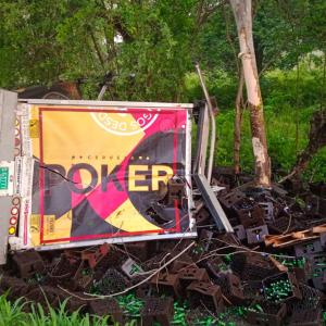 Aspecto del camión volcado en la zona enmontada