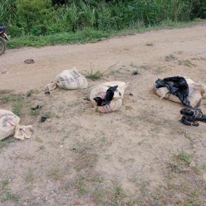 Sacos con restos humanos