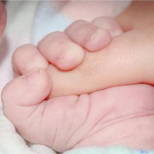 Imagen de referencia.