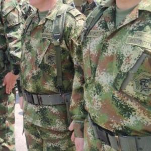 Imagen de referencia.