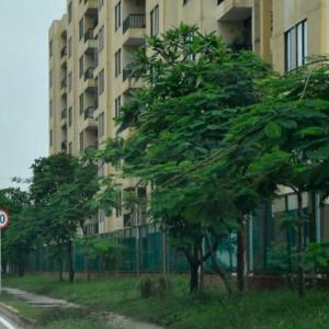 Lugar de los hechos.