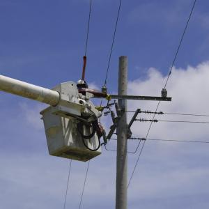 Imagen de referencia