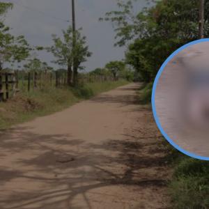 Imagen de referencia de una zona enmontada