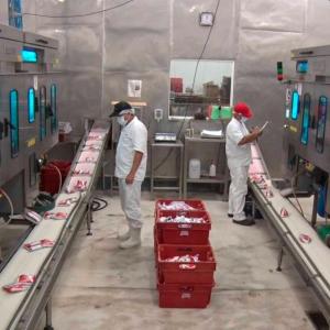 Trabajadores de Coolechera en la planta de producción