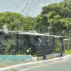 Imagen de referencia