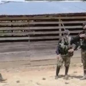 Imagen de referencia