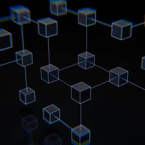 Imagen de referencia