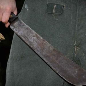 Imagen de referencia de un machete