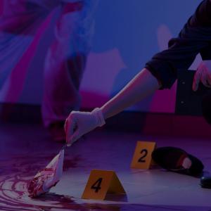 imagen de referencia