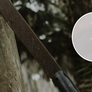 Imagen de contexto de un machete y una pequeña toma de la machetera protagonizada por los jóvenes