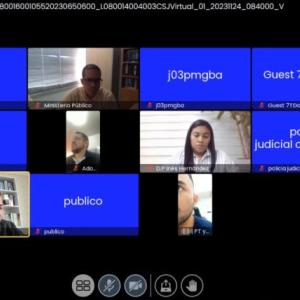 Captura de pantalla con los participantes de la audiencia celebrada de forma virtual este viernes