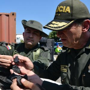 El General Salamanca