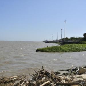 Lugar donde apareció el cuerpo desmembrado
