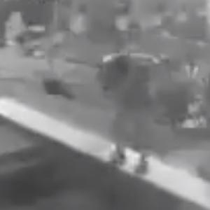 Momento en que el joven lanza al perro a la piscina