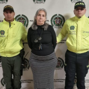 La mujer responsable de los hechos