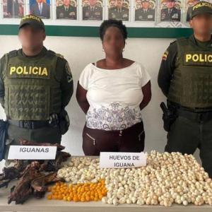 A detenida le fueron incautados 700 huevos de iguana y siete iguanas muertas ahumadas.