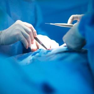 imagen de referencia