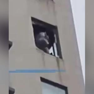 Instante previo al lanzamiento de la ventana ejecutado por la madre, quien alcanza a distinguirse