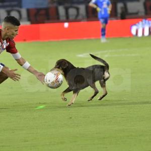 El perrito 'gambetea' ante el intento de control de José Enamorado