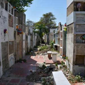 Interior del Cementerio Nuevo de Soledad, donde ocurrió el ataque sicarial