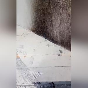 Lugar donde fue arrojada la bomba molotov