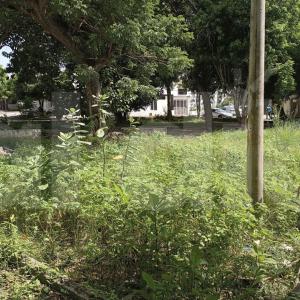 Aspecto del parque en el barrio El Silencio