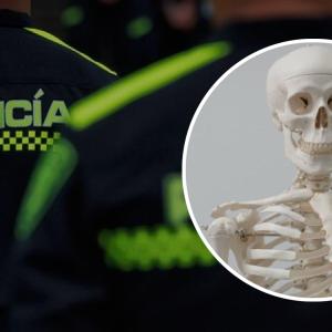 Imágenes de referencia