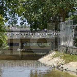 Caño La Auyama