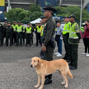 Operativo de la Policía en el estadio Metropolitano