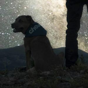 Imagen de referencia