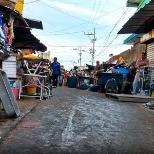 Imagen de una zona próxima al punto en el que apareció la cabeza