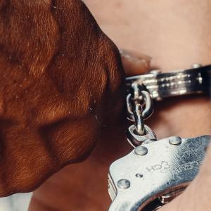 imagen de referencia