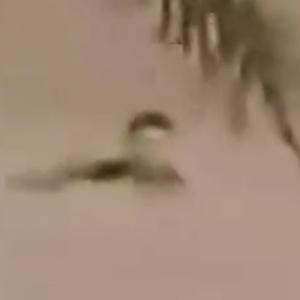 El joven víctima del arroyo