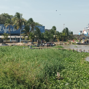 Zona de cuerpo hallado sin vida en el Río Magdalena.