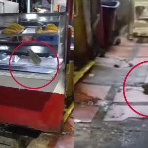 Captura de video de ratas en puesto de fritos del centro de Barranquilla.