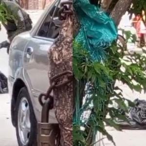 Basura presente en bolsas encontradas en Las Nieves.