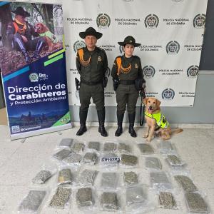 El canino 'Pepe' con las autoridades por proceso de incautación de marihuana.