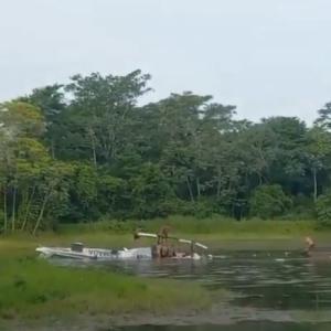 Helicóptero de la Armada caído en Bolívar.