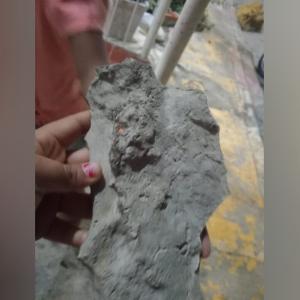 Piedra que le lanzaron a una niña en el barrio Santa María.