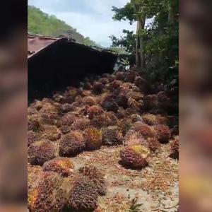 Accidente en la Vía Alterna, Santa Marta.