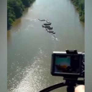 Captura de video de presunta anaconda gigante en el río Amazonas.