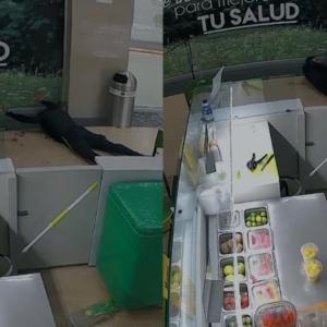 Robo en centro comercial.