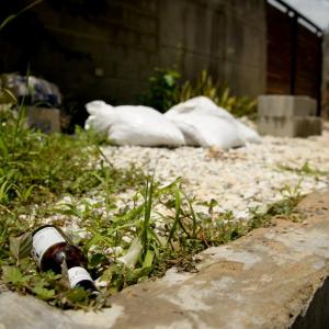 Botellas de Cerveza y otros objetos encontrados en Villa de Olvega.