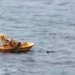 Captura de video de caída de crucero.