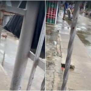 Vecinos del sector captaron imágenes de lo ocurrido